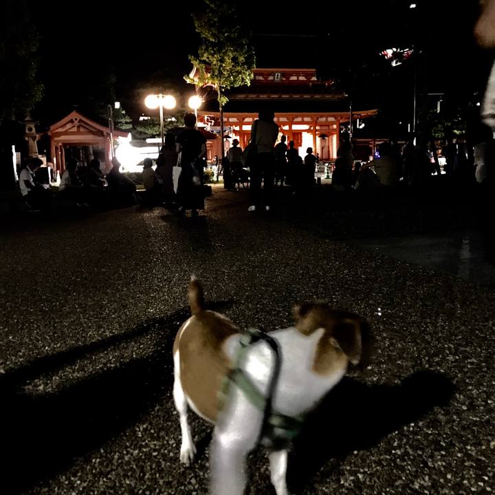 C9d2948d 7e13 4a7b b124 932867b9bd1d 1568460485438