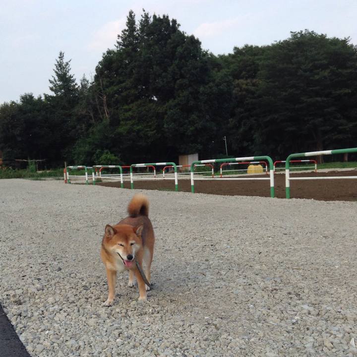 C9d294b5 3e79 4d9d a520 0a14100edd46 1531560800659