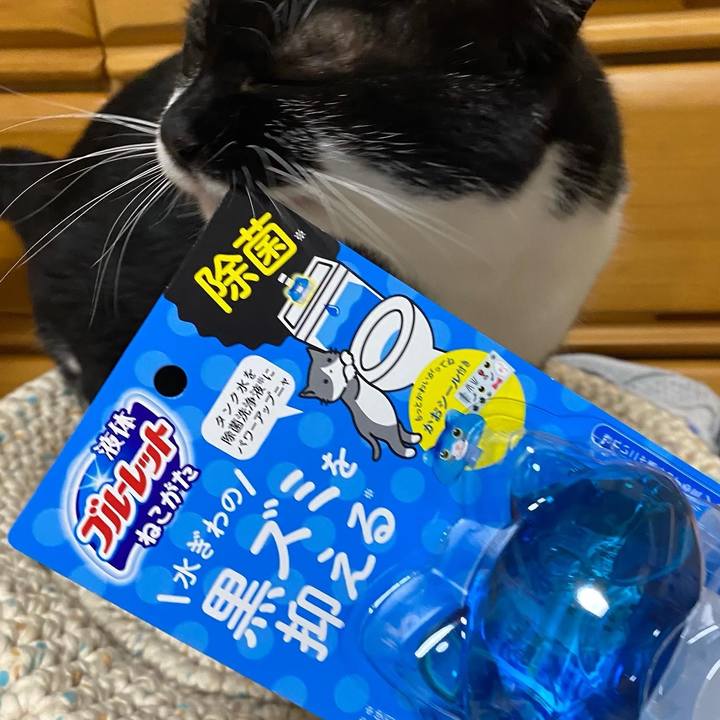 C9d2a361 7bfa 43e8 b92a 441553c15ad8 1661093557815