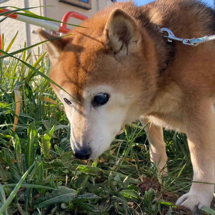 C9d2a6a8 2a71 4519 aba0 a8c53fc02efb 1740798622089