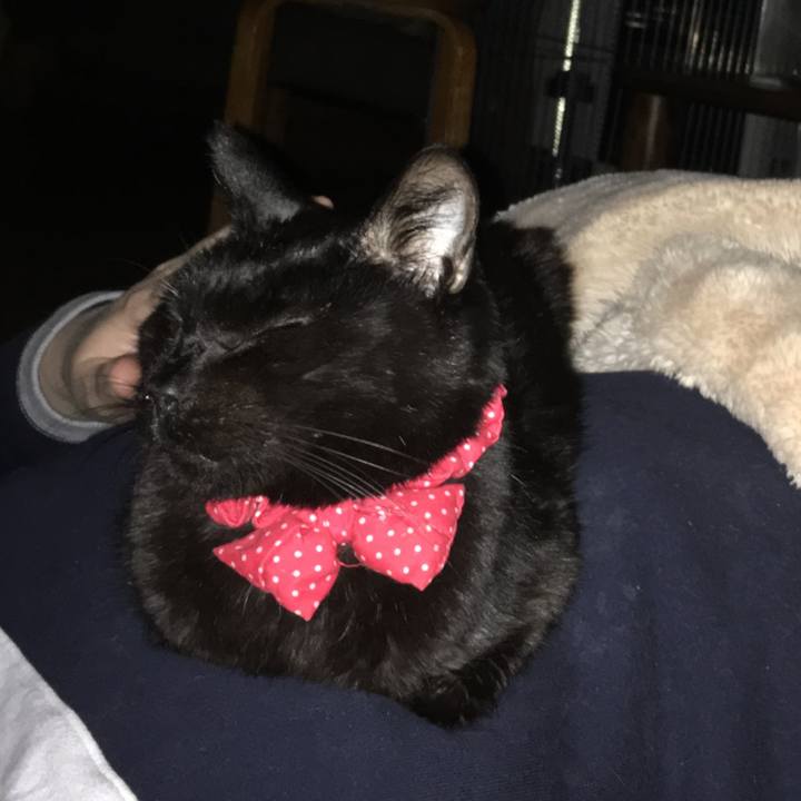 C9d2edef 9f0e 4661 9313 f4176c904f02 1553026313570