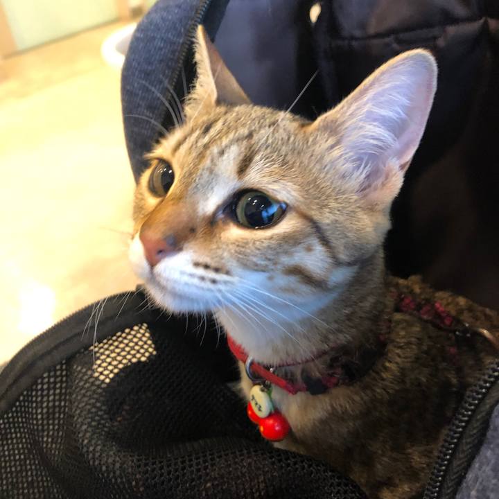 C9d3042b f8ef 4688 97ad b0c4973ff926 1583830984965