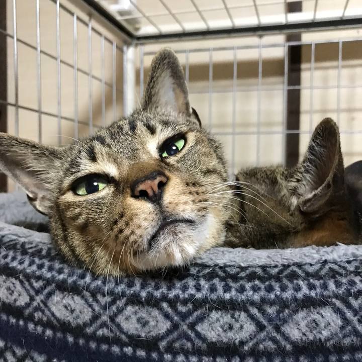 C9d30c2c b640 46e6 8d12 cb0c938f48cd 1523230827484