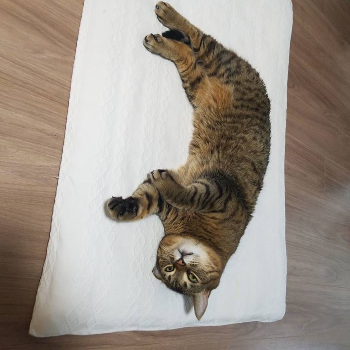 C9d312d6 2a05 476b 9922 1409d1c0259f 1579904312612