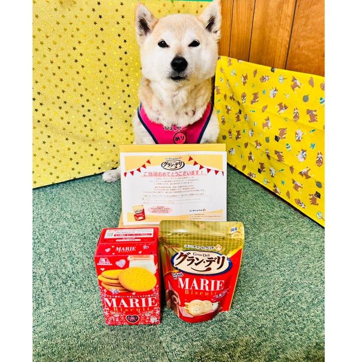 C9d31907 ace6 4508 a0c8 1e5f8798115c 1745382190463