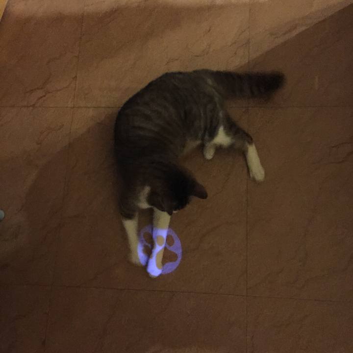 C9d329d5 34a5 4c4a a1ed 8a57c1ef190b 1518340313222