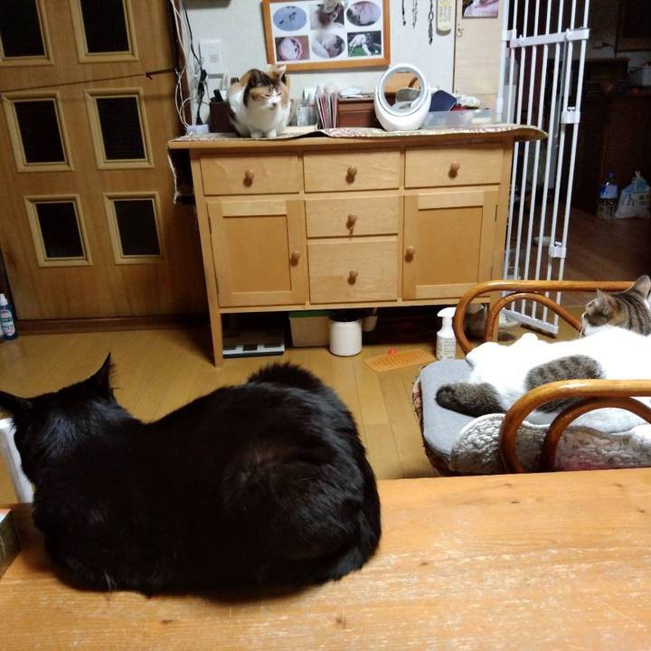 C9d36f24 f712 464d 9ace 85db4c06821f 1685701324687