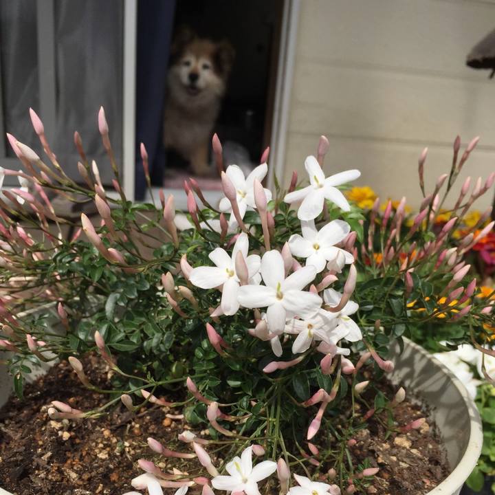 C9d3c7f6 e795 4440 b904 1e9ab2edf52e 1651903729126