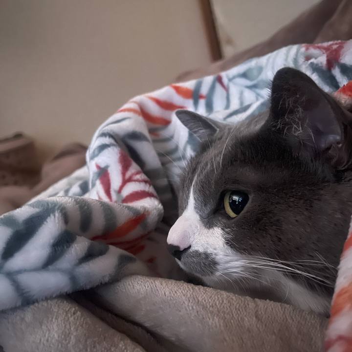 C9d3f692 a691 4fc3 adad aa8d04d4bbdc 1707520562932