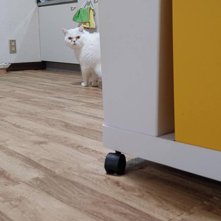 C9d444ed 2d1d 4df3 b18d 284c434af819 1714983154460