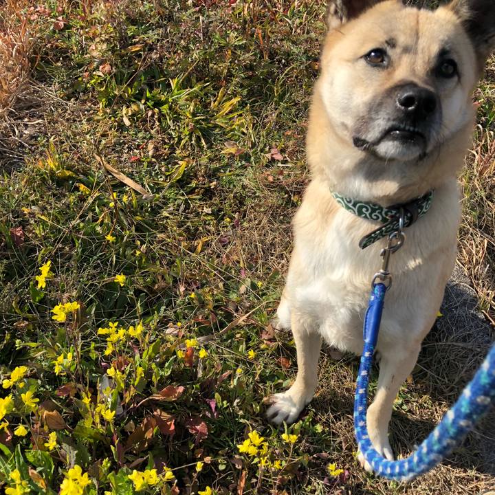 C9d46b28 cda7 4916 85ba 82d7cee952d9 1547446497041