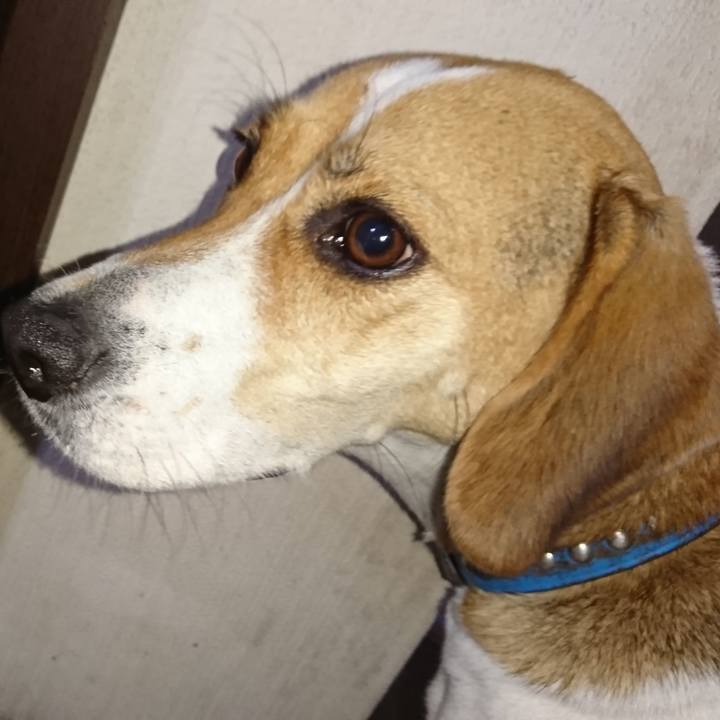 C9d47a89 0529 468d ba12 4e7a3381fcec 1573437580414