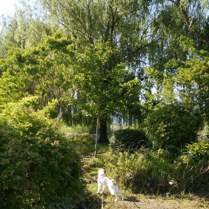 C9d494c3 ccb8 4843 b252 f0acfd30092b 1526947204912