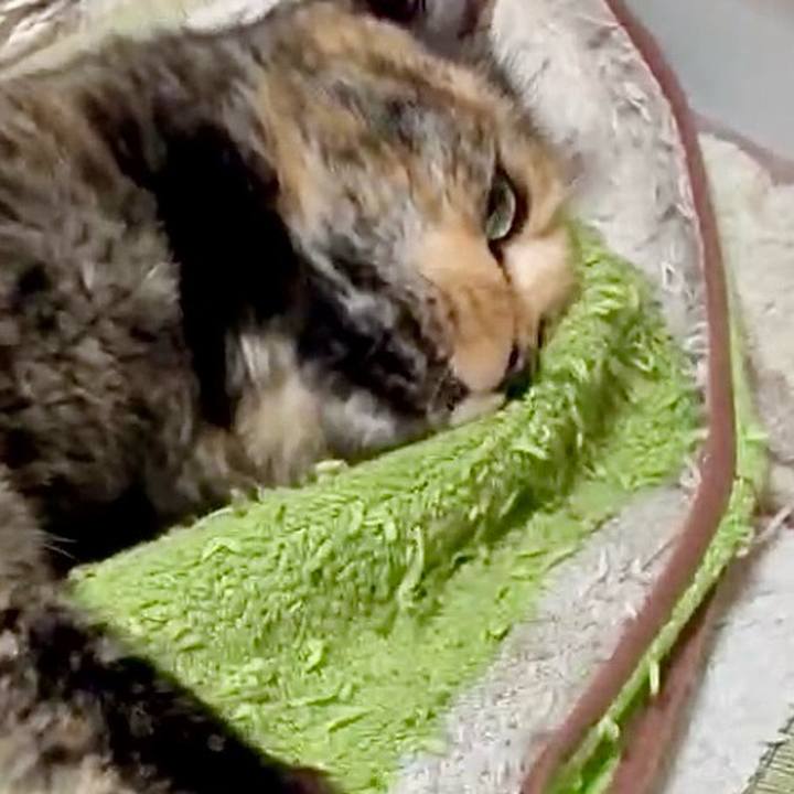 C9d4d904 4fa4 4ea6 847f ea2d4e7fae6d 1752350692249