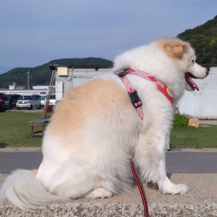 C9d4ea5a f798 4689 aaef 2e8c3a730120 1661686440516