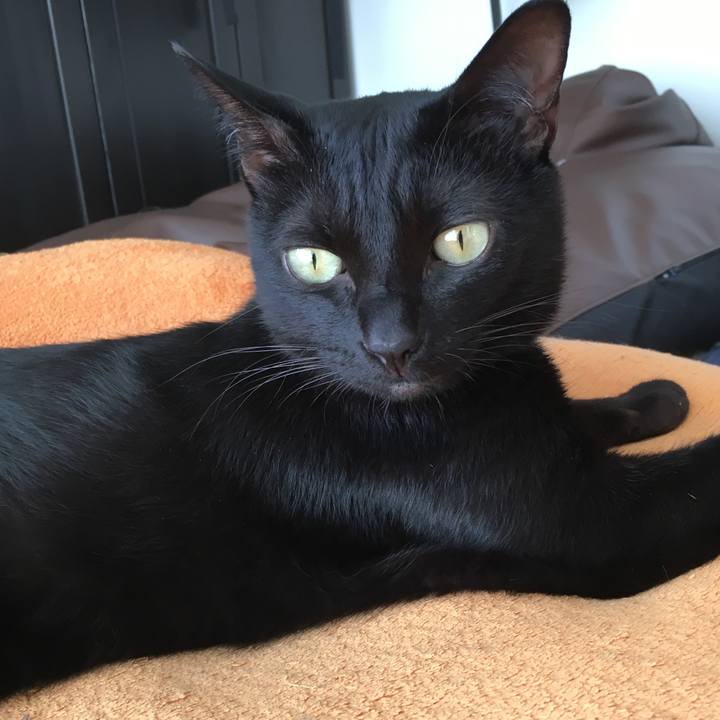 C9d4f345 4675 4446 a8b3 b4b1964d0bb0 1568072736287