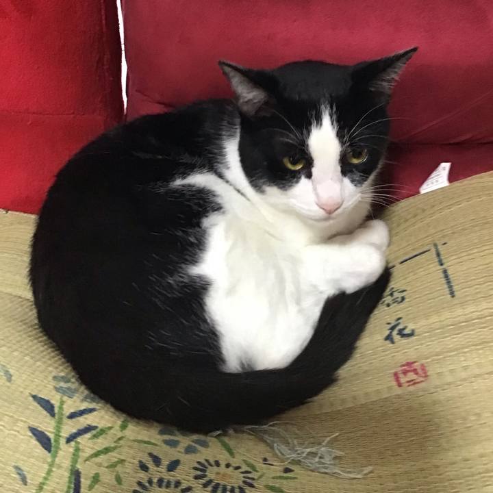 C9d5060d 4a0c 4986 ac3e d32670b4f34e 1720786552616