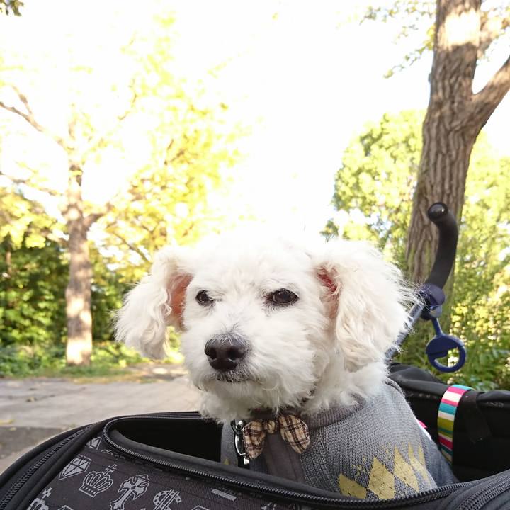 C9d528ce 242c 40f1 ad2f 7e9ace2a4c4b 1603633754310