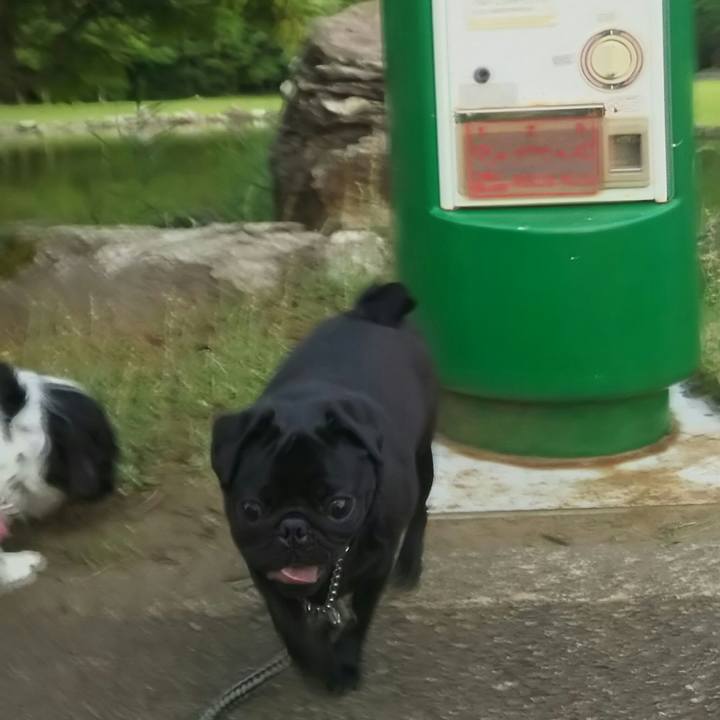 C9d52fde b6bc 481b 97cc d9f001035e8d 1528975287926