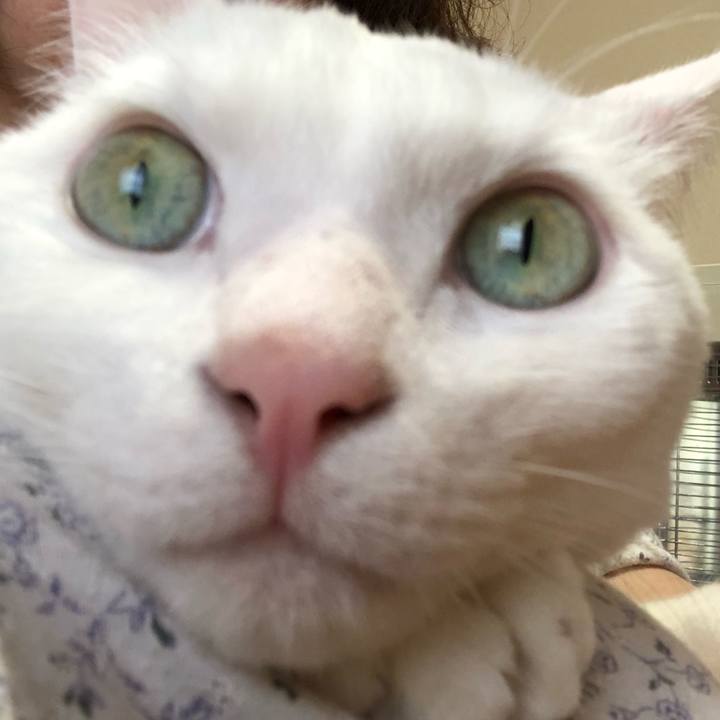 C9d53aa7 ff7d 4c0f 8dba cf3669635ba1 1525512024714