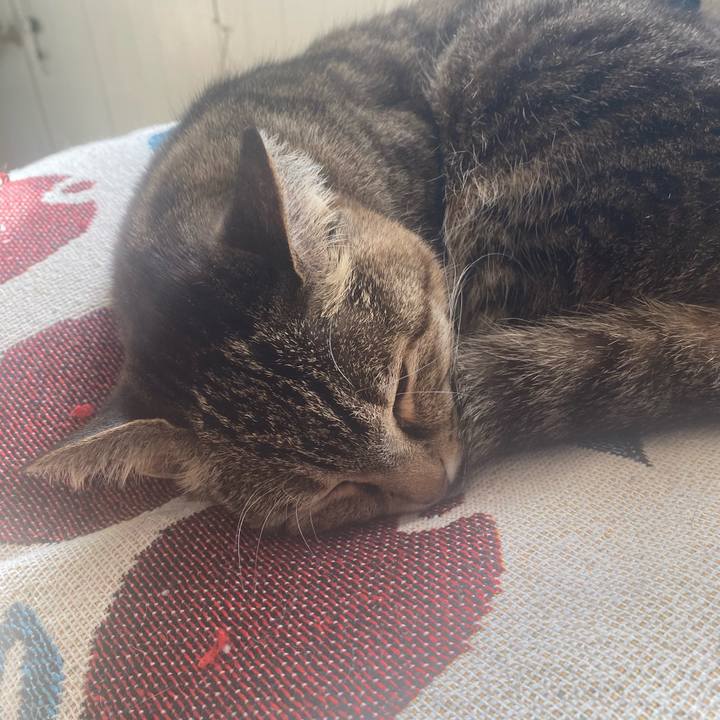 C9d547b1 fa3a 461a 831b f14d164dc4bf 1740882895971