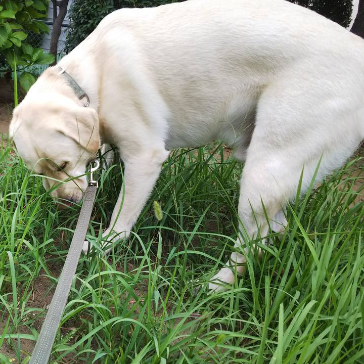 C9d5cc76 5c91 46ce 8303 97311825a980 1533522829278