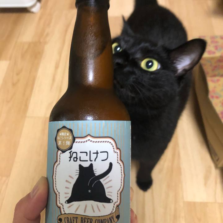 C9d5eb6a 6ab0 4ce1 b320 add5edebe585 1592487950698