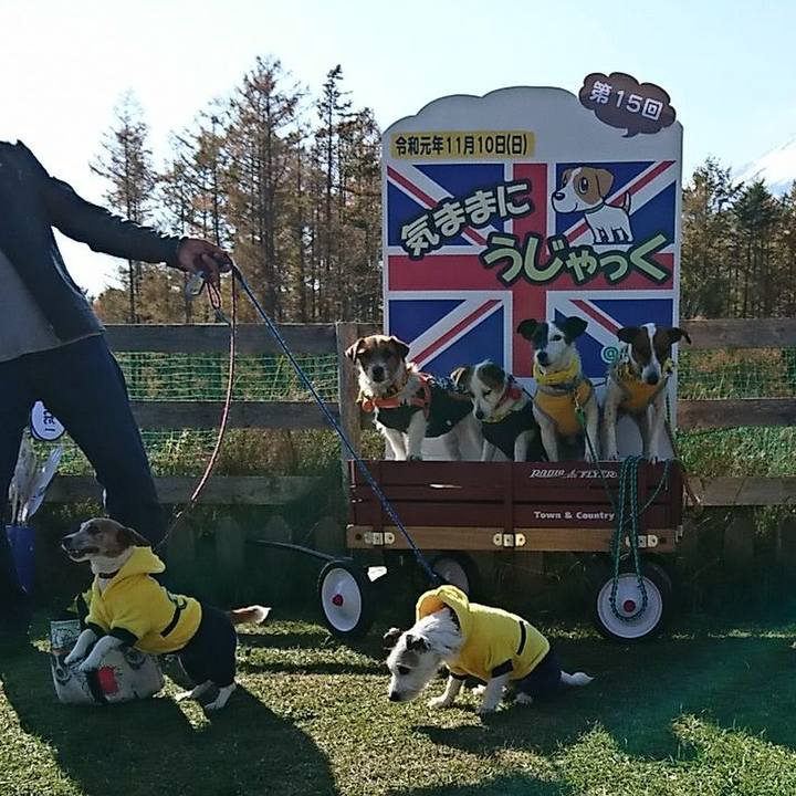 C9d602b3 bab3 4fab a726 a82ba70fb53c 1573390154327