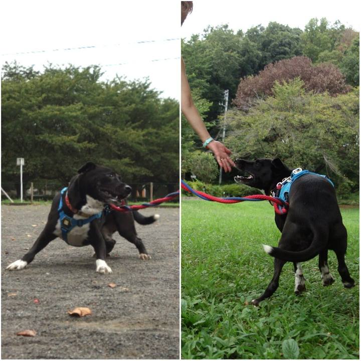 C9d611c2 dc19 487d aa2f 39cf49048306 1630195156566