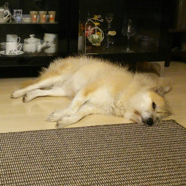 C9d616d8 a283 4a57 b6db 5beee67bc86c 1511763278322