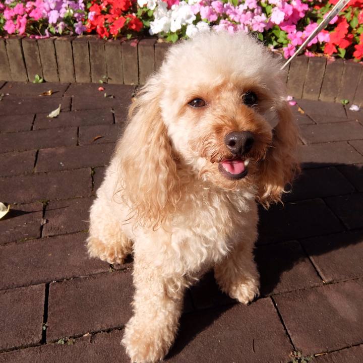 C9d61d2e bc2b 45e4 8d9f 7987d32c04f2 1529055976593