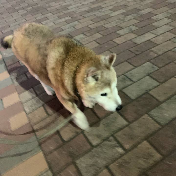 C9d61e3e 495f 4cb9 b1af 8ed1923e68d5 1676551983420