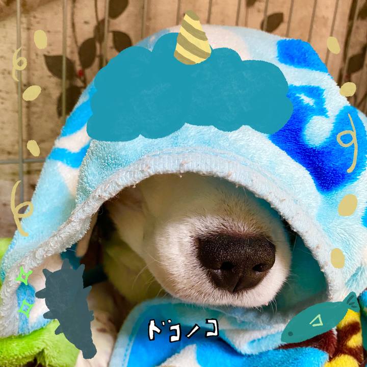 C9d628a3 98fb 4c10 8691 24e40c770fc2 1706760312945