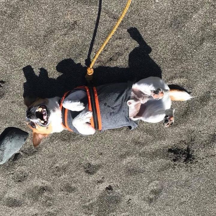 C9d62bb9 0542 4eed a3db 3e203cd4e02c 1651637999848