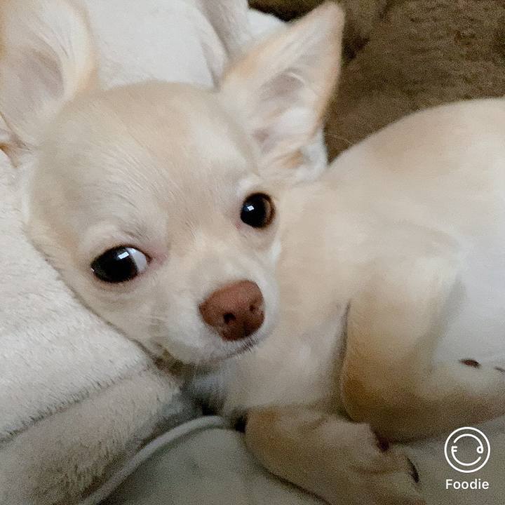 C9d6369a a8eb 4802 95c7 ac6a37ae85cf 1601762272934