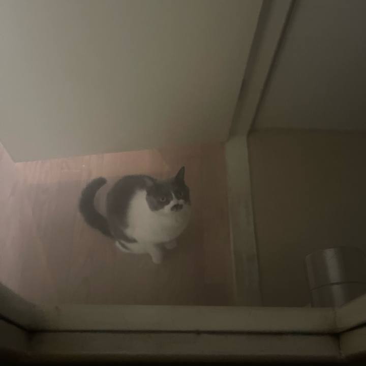 C9d65822 0f6d 4929 9f5f 2590b175b058 1737089681432