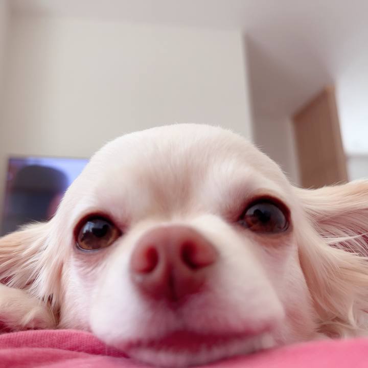 C9d65b60 40d6 4346 a768 dab5773b4420 1718079255645