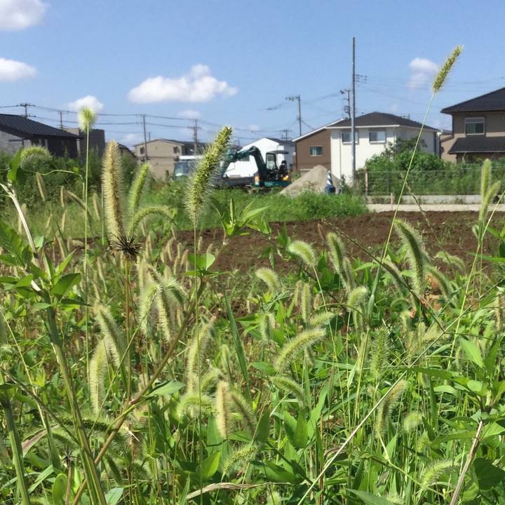 C9d676a6 8f93 4c94 a630 63f839f4801f 1596251449239