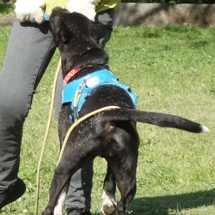 C9d69f16 11d3 4a83 8a70 8544a7358a39 1619483749457