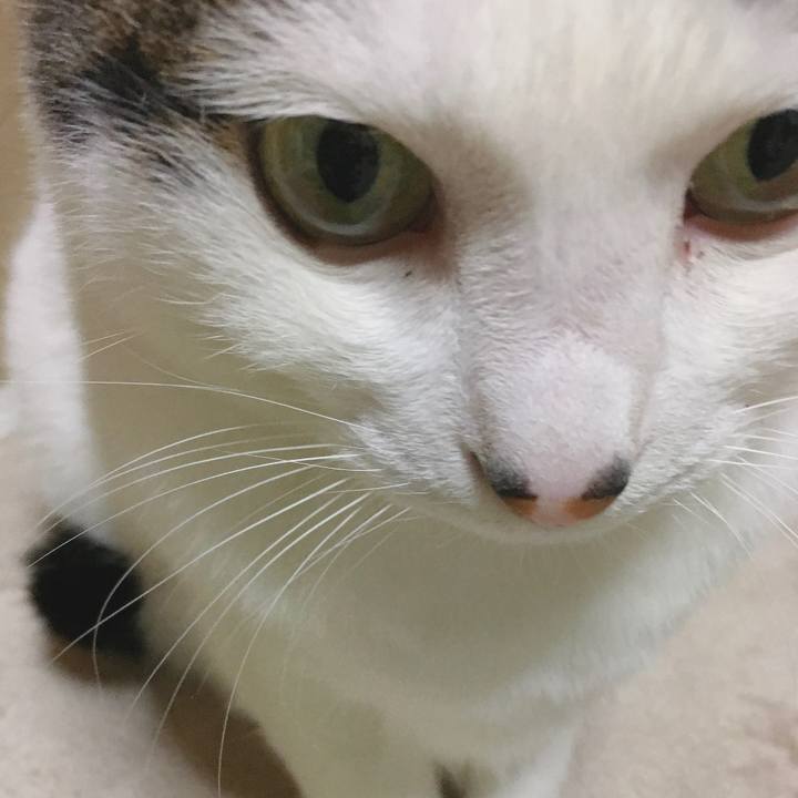 C9d69f99 74b4 474e a8a3 c841400cbe13 1589807560390