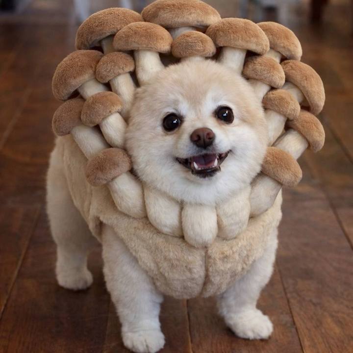 C9d6a113 5b1b 4612 8386 031d905e1e11 1767181878604