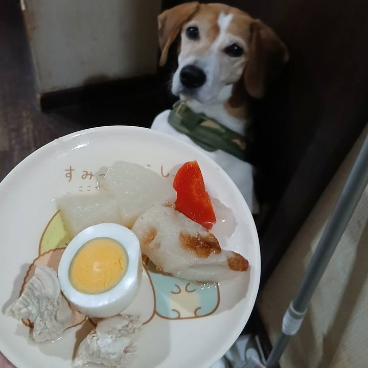 C9d6b3c2 d0dd 4c13 8cc9 224fe8791a65 1767870385518