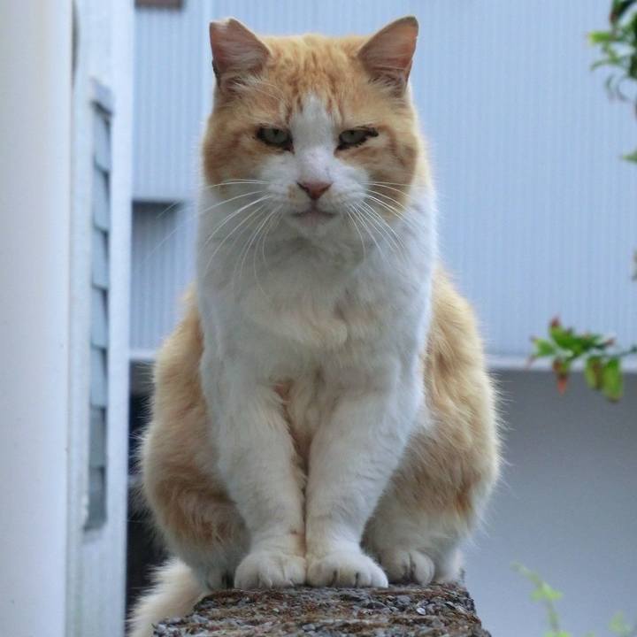 C9d6c3b7 efb3 4762 9afe c5749b6f9702 1555080365640