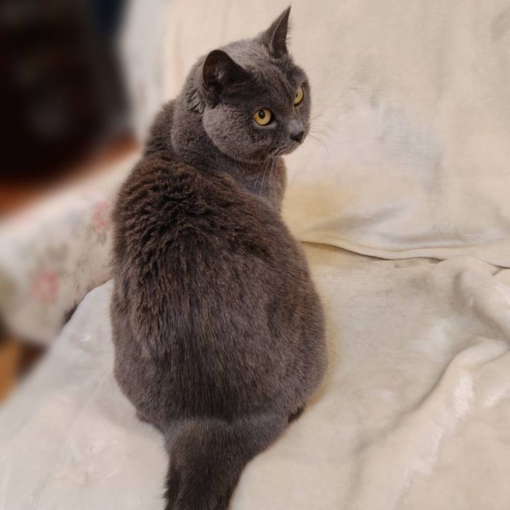 C9d6d4aa dc15 49ae 925e b285ca2088e1 1768050388488