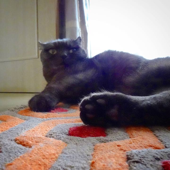 C9d71634 33e3 4d39 9226 67fb68beb9da 1593310970840