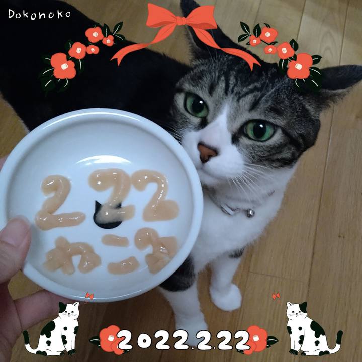 C9d737c3 976c 47ca 9d33 7e281a5cb1bd 1645531072683