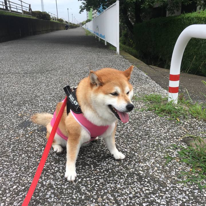 C9d7858e 33b5 494d bace 7f26acefb0d1 1594008395754