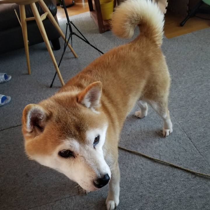 C9d8528a 0a9e 4c26 8a2f 5cf61a5b5828 1628062626439