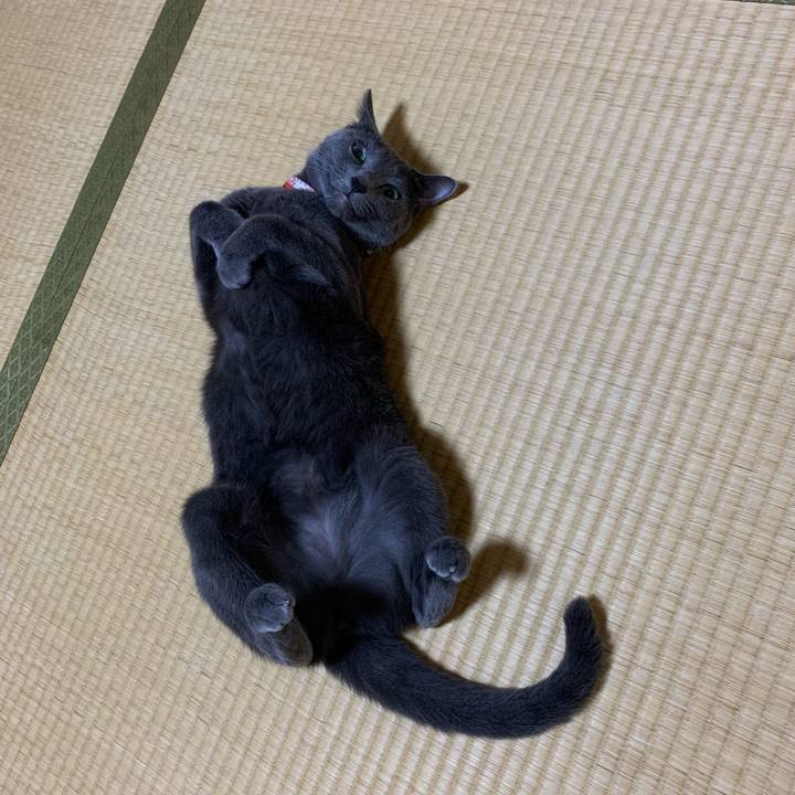 C9d85c68 a8c5 4978 b7d7 099cbf5c9300 1594183187685