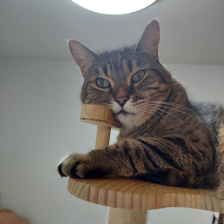 C9d876b5 7151 40af b51e 15d173b1a036 1717453305756